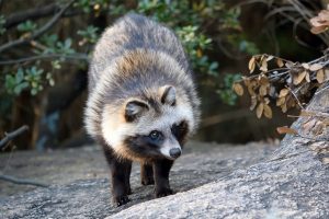 うん百億円の土木工事が中止寸前！現場全員が事情聴取された「ポンポコ事件」の真相