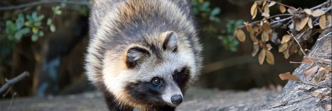 うん百億円の土木工事が中止寸前！現場全員が事情聴取された「ポンポコ事件」の真相