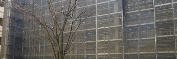 自治体の総合評価方式で新たな動き。若手技術者育成・女性活躍を評価する東京・江戸川区