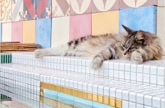 タイル割付図の作成で「あえて“犠牲”にすべきこと」とは?