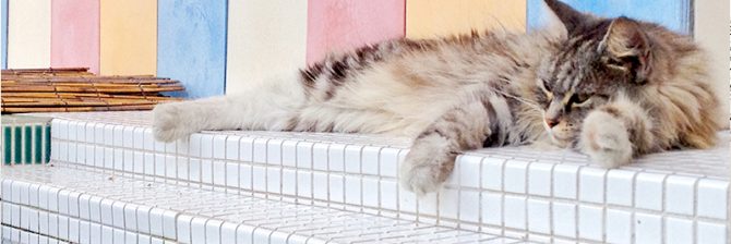 タイル割付図の作成で「あえて“犠牲”にすべきこと」とは？