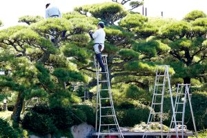 非公開: 造園業の仕事は「土木」と「建築」に奪われる？