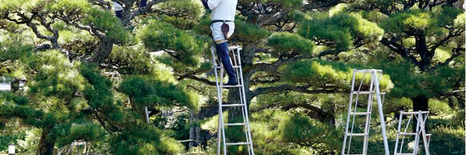 非公開: 造園業の仕事は「土木」と「建築」に奪われる？