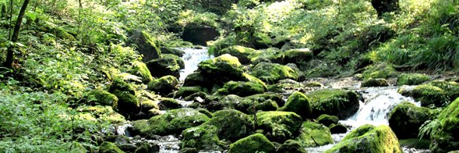 前任者が逃亡したおかげで、高額な給料をもらえた「最高の現場」