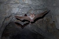 「直角が通じない!」海外の建築現場で作業員と上手に付き合う方法