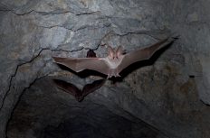 「直角が通じない！」海外の建築現場で作業員と上手に付き合う方法