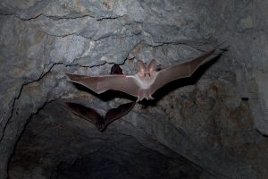 「直角が通じない！」海外の建築現場で作業員と上手に付き合う方法