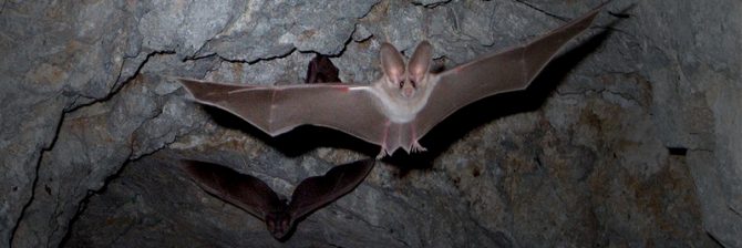 「直角が通じない！」海外の建築現場で作業員と上手に付き合う方法