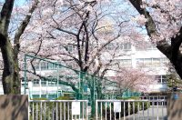 【感涙】「輝いてるね、お父さん」土木技術者の原点は、社会貢献だ!