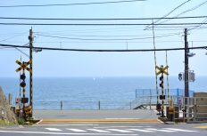 「スラムダンク」で考える建設現場。もし「桜木花道」が施工管理技士だったら?