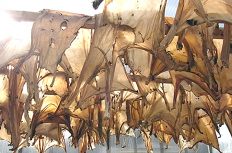 北斎もビックリ!重要文化財に使われた膠が住宅用にも使える!?