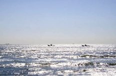 【模擬試験・解答付】1級建築施工管理技術検定 実地試験