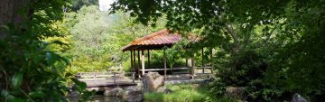 ホタルの里に恩返し。鳥取県の建設会社が取り組む環境事業とは？