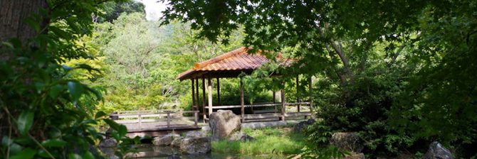 ホタルの里に恩返し。建設一筋だった男が取り組む環境事業とは？