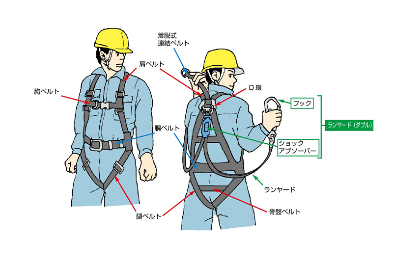 フルハーネス型安全帯の基本的構造/ 厚生労働省