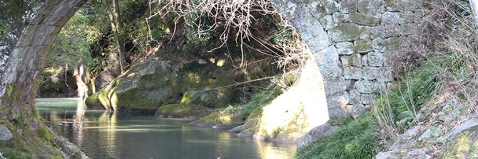 まだ確立していない石橋の補修工法、鋼部材やコンクリートは使うべきか？