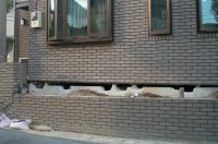 何事も”地盤”が大事！ なのに、安価な地盤改良工法が蔓延るワケ