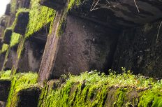 まるでラピュタ! 苔とサビに覆われたロマンあふれる法面を発見!
