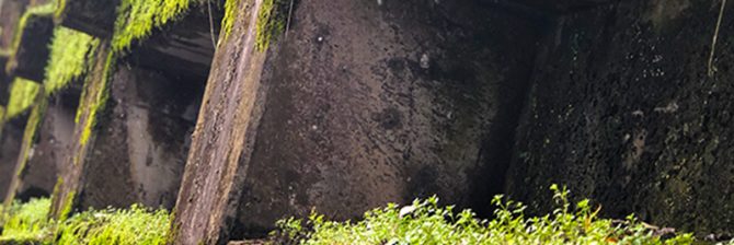 まるでラピュタ！ 苔とサビに覆われたロマンあふれる法面を発見！