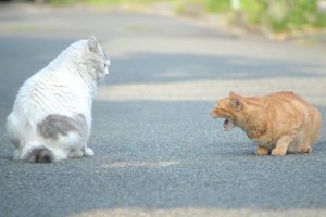 「不仲説」 現場監督と職人