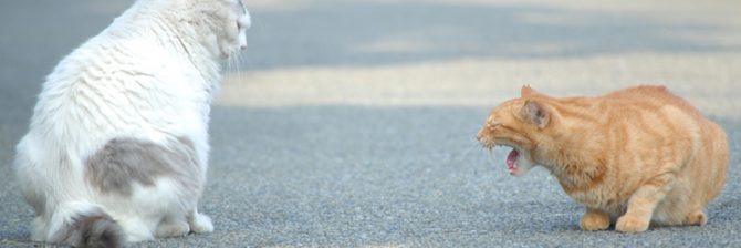 「不仲説」 現場監督と職人