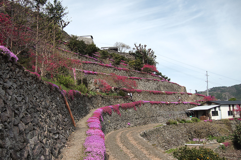 【石積みのある風景】〜徳島県吉野川市美郷〜