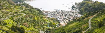 【石積みのある風景】～愛媛県西予市明浜町～