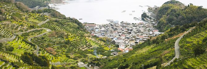 【石積みのある風景】～愛媛県西予市明浜町～