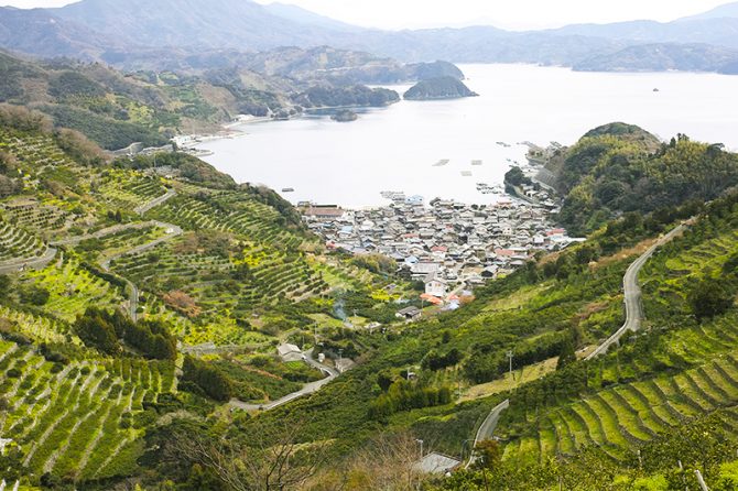 【石積みのある風景】～愛媛県西予市明浜町～