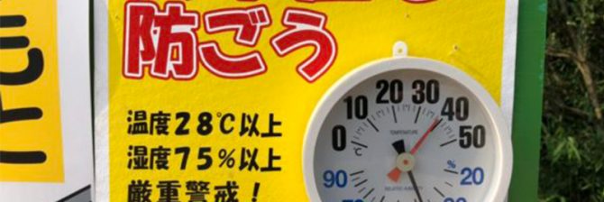 熱中症対策でこんなモノ作ってみた！