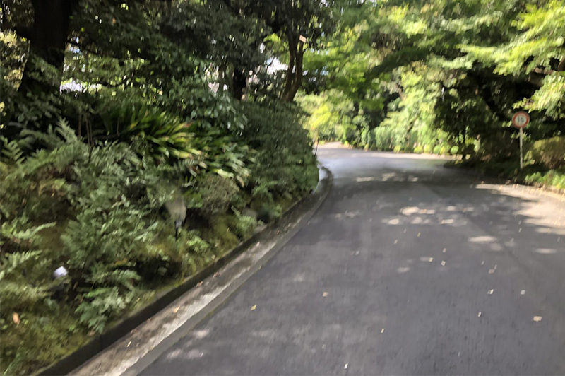 【名建築で昼食を】ロケ地「目黒庭園美術館」に早速、行ってみた。