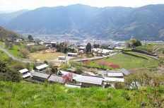 【石積みのある風景】~徳島県三好市池田町西山~