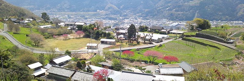 【石積みのある風景】～徳島県三好市池田町西山～