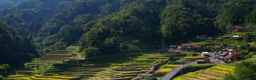 【石積みのある風景】～大井谷の棚田（島根県吉賀町）～
