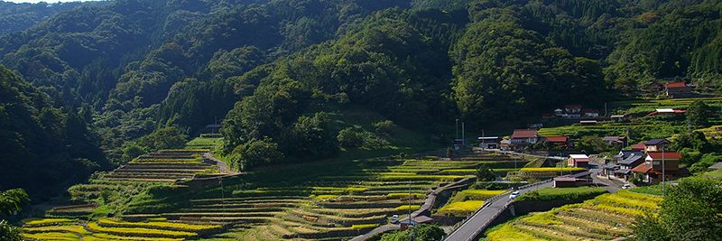 【石積みのある風景】~大井谷の棚田(島根県吉賀町)~