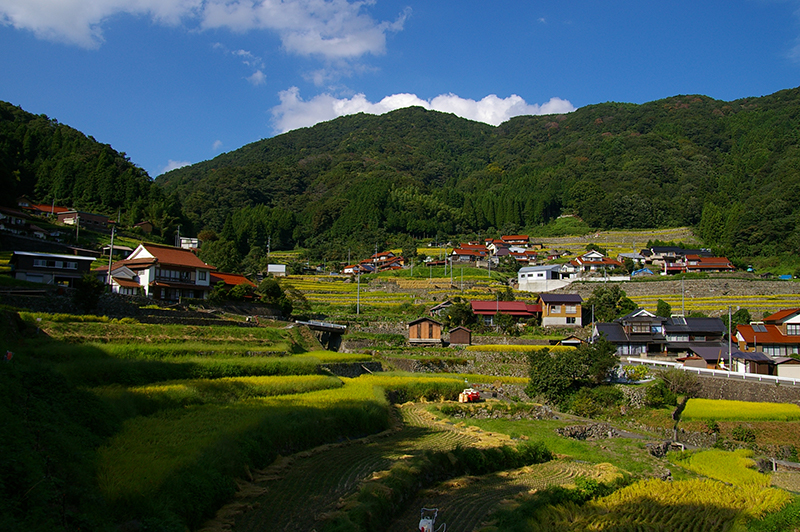 【石積みのある風景】～大井谷の棚田（島根県吉賀町）～