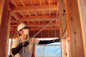 「ペリー来航レベルの衝撃」 “ホウ酸”によるシロアリ駆除は日本でも普及するか？