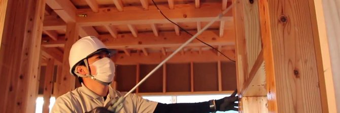 「ペリー来航レベルの衝撃」 “ホウ酸”によるシロアリ駆除は日本でも普及するか？