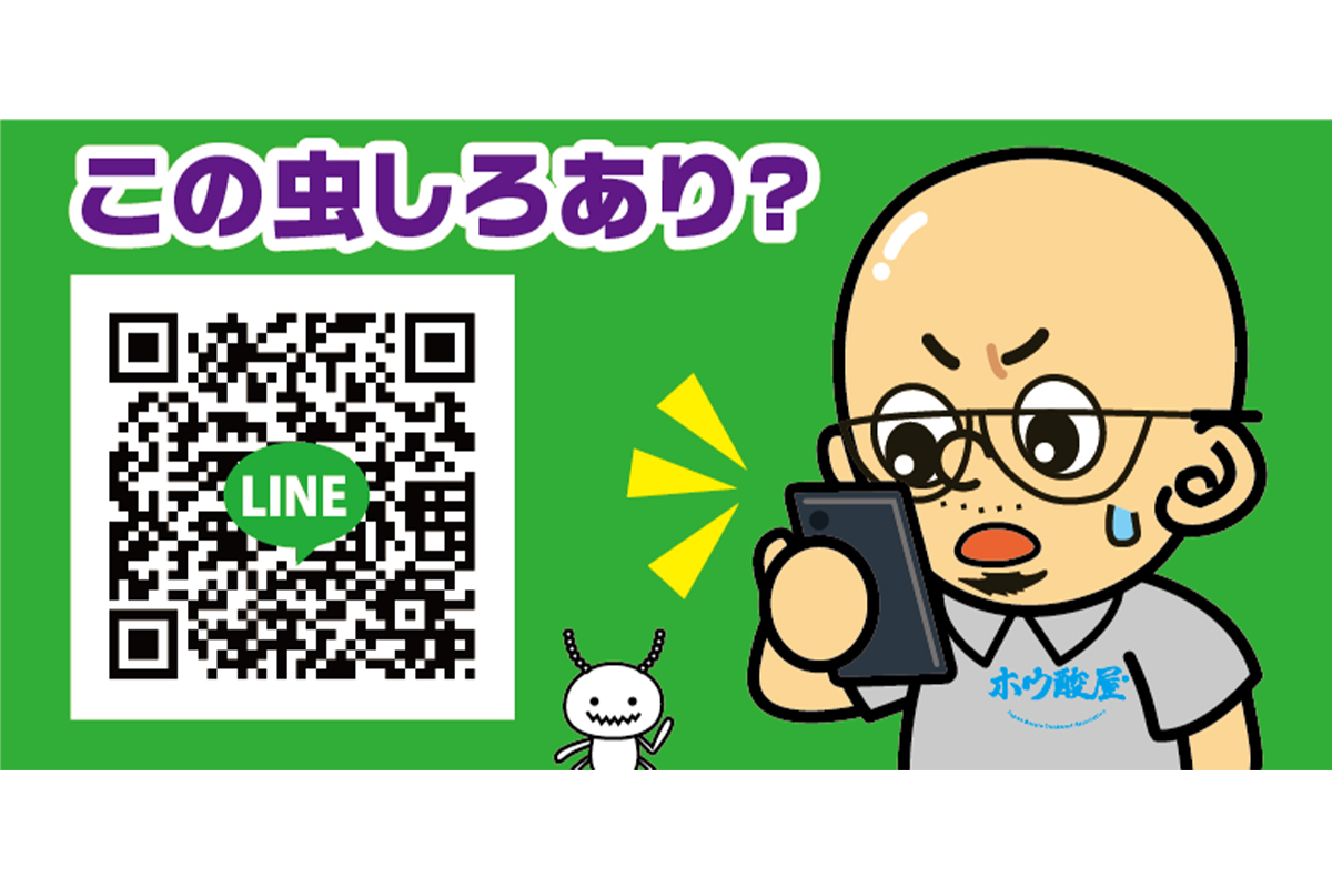 LINEで「この虫、しろあり？」のサービスも提供