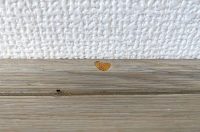 “満足を届けるための最後のお手伝い” キズ補修職人は魅力でいっぱい