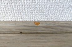 “満足を届けるための最後のお手伝い” キズ補修職人は魅力でいっぱい