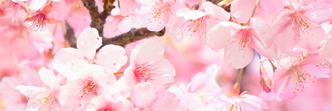 【担当者必見】新卒採用・若手技術者の教育に関する”人気記事トップ5″