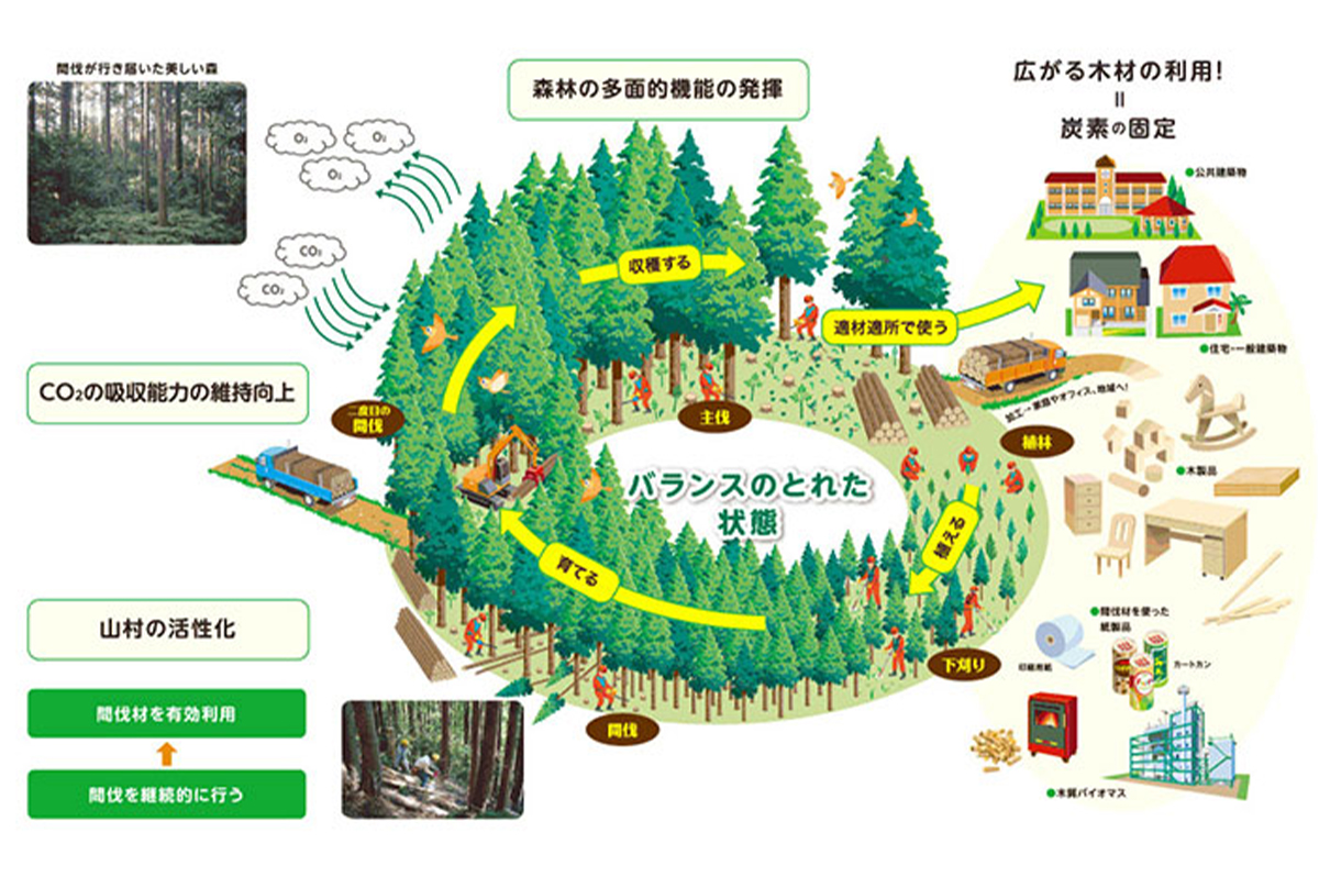 出典：政府広報オンライン