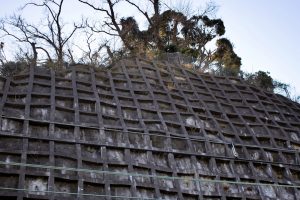 儲かる現場は、確実に決まっている