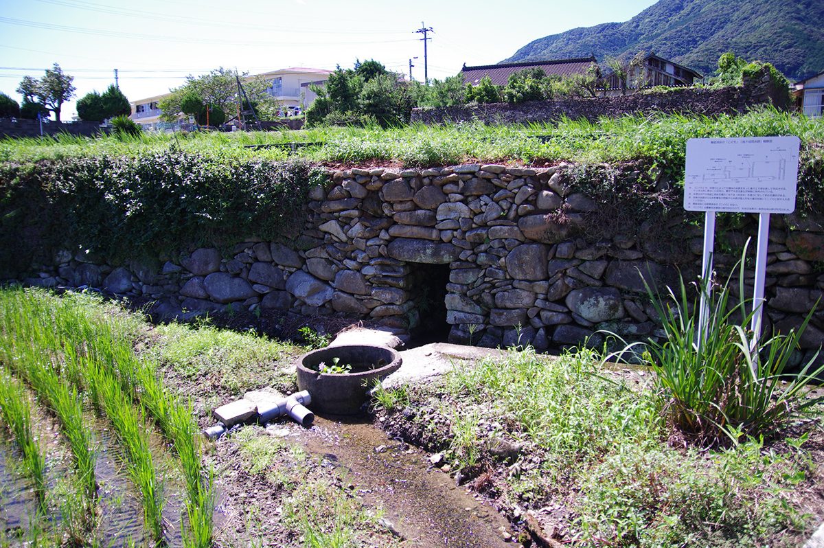 棚田につくられたコグリ