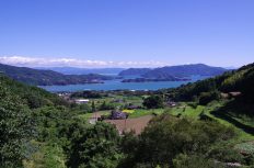 【石積みのある風景】~天草棚底の棚田(熊本県天草市)~
