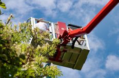 高所作業車の資格とは？必要性や受講内容、準備すべきものを解説