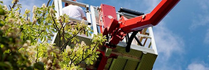 高所作業車の資格とは？必要性や受講内容、準備すべきものを解説