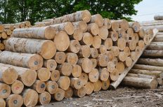 ヤング係数とは？単位や求め方、木材や金属類のヤング係数まで簡単解説