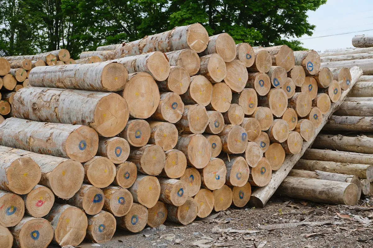 ヤング係数の求め方 他の呼び方や考え方についても紹介 施工の神様